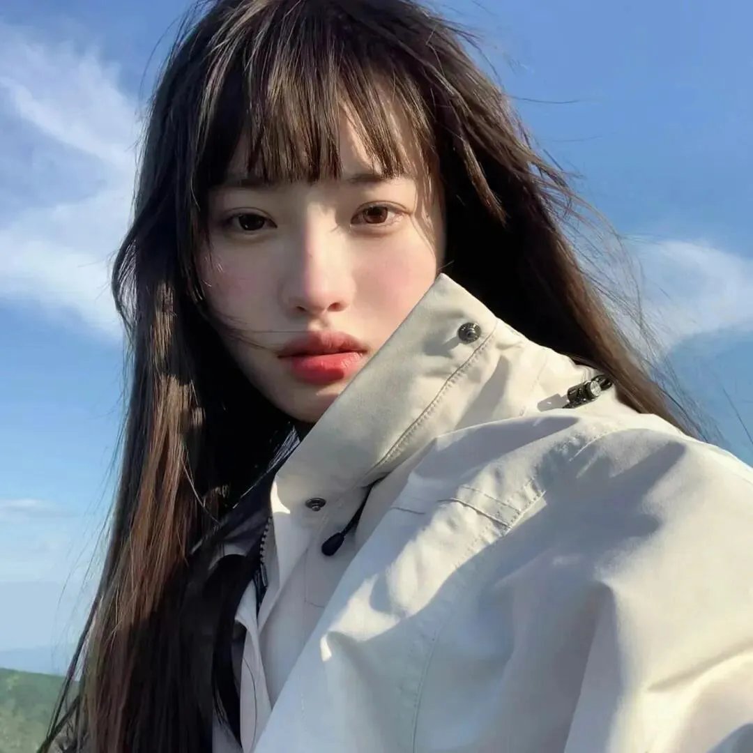 动画纪录