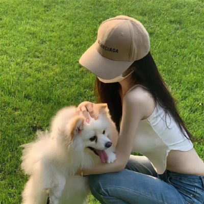 狐狸捕手